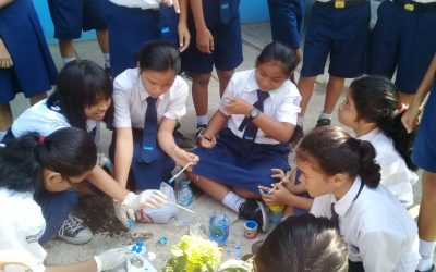 Ozone, Our Zone