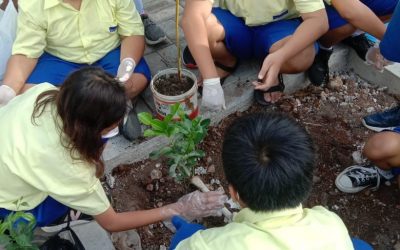 KEGIATAN HARI POHON SEDUNIA SISWA-SISWI SMP STRADA BHAKTI UTAMA TAHUN PELAJARAN 2022/2023