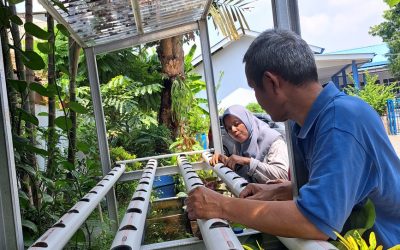 Berita Sekolah ; Sosialisasi Cara Penanaman Hidroponik