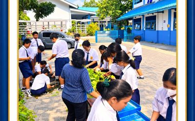 Kegiatan Panen dan Menjual Hasil Tanaman Hidroponik SMP Strada Bhakti Utama